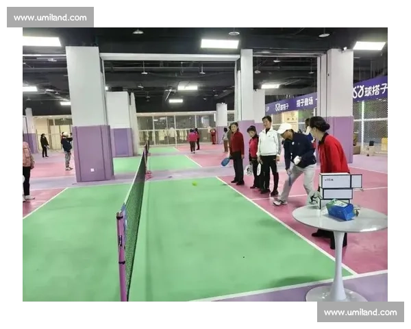 南京官宣匹克球协会!这项 “上头” 运动藏不住了 南京官宣匹克球协会!这项 “上头” 运动藏不住了