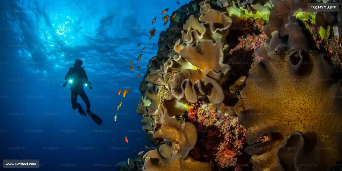 <strong>OD体育</strong>挑战自我，汗水铸就非凡！💪